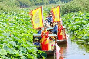 湿地公园吃瓜,湿地公园夏日吃瓜盛宴