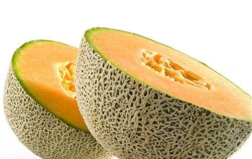 囊括其中吃瓜,揭秘吃瓜群众的趣味生活