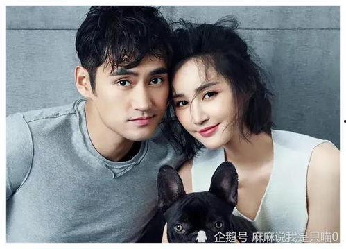 明星吃瓜天降大瓜,揭秘娱乐圈惊人内幕