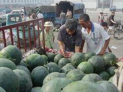 常德石门吃瓜事件,一场网络热议背后的真相探寻