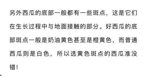 吃瓜人小说全文,揭秘娱乐圈背后的秘密与真相