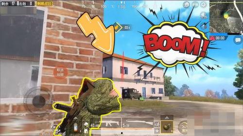 呆呆瓜吃鸡搞笑,欢乐搞笑，鸡飞狗跳的欢乐盛宴