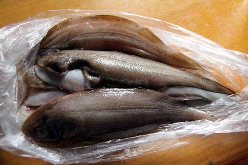 刘大瓜吃生鱼,舌尖上的刺激之旅