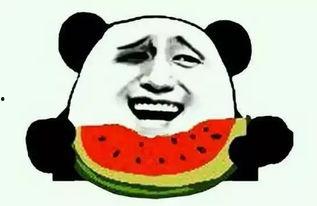 单身久了吃瓜群众,揭秘单身族的甜蜜生活