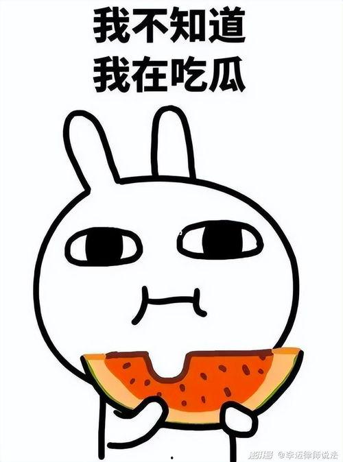 吃瓜小太妹,网络红人的崛起与争议