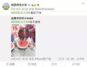 高校吃瓜网站,揭秘校园热点事件背后的真相