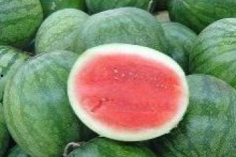 吃瓜意思猜什么生肖