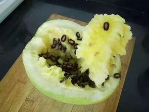 籽瓜热吃,冬日暖胃新体验