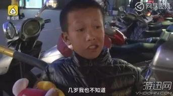 男孩砸电视哥哥吃瓜,男孩砸电视，哥哥吃瓜看热闹