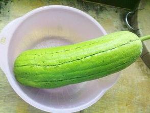 梦见吃胡水瓜,胡水瓜的神秘诱惑