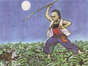 猹和吃瓜少年,猹与吃瓜少年的奇幻冒险之旅