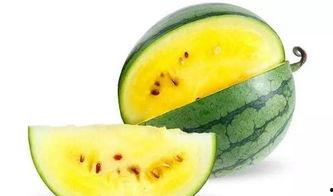 河北潍坊吃瓜事件,一场网络热议背后的真相与反思